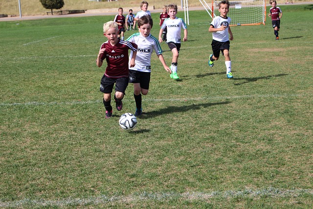 到战术和球 到战术和球