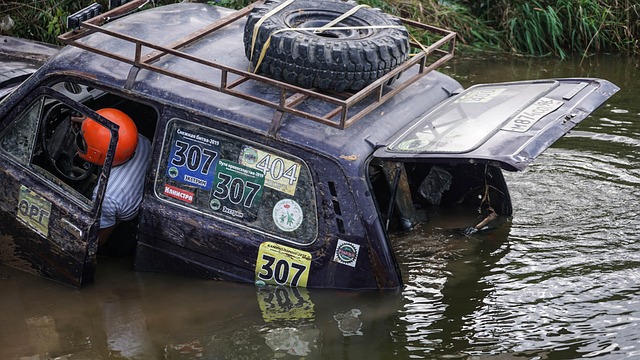 单一的文化 单一的文化