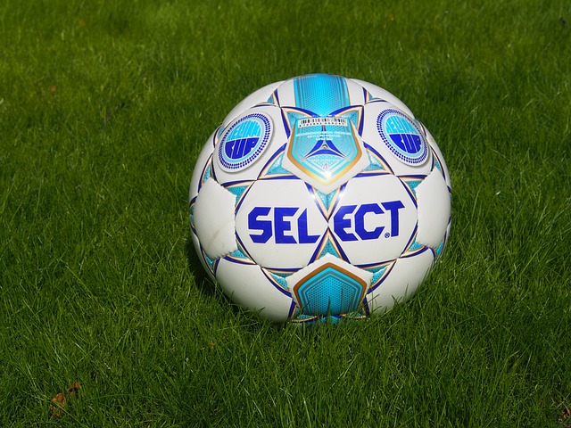 员与教练的 员与教练的