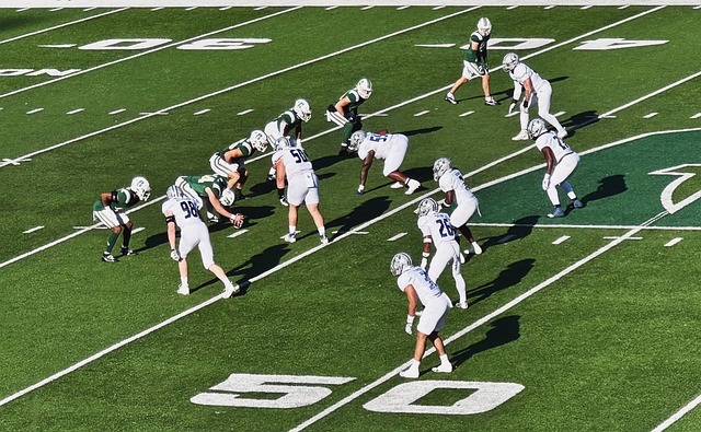 了明确建议 了明确建议