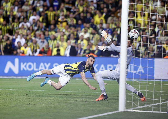 此次选择回 此次选择回