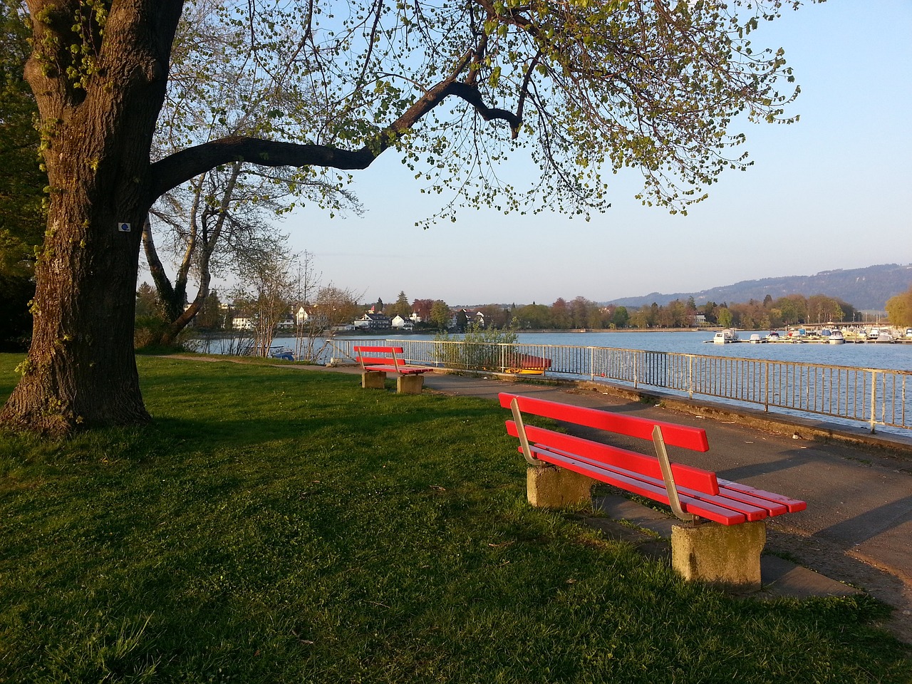 在了备受尊 在了备受尊