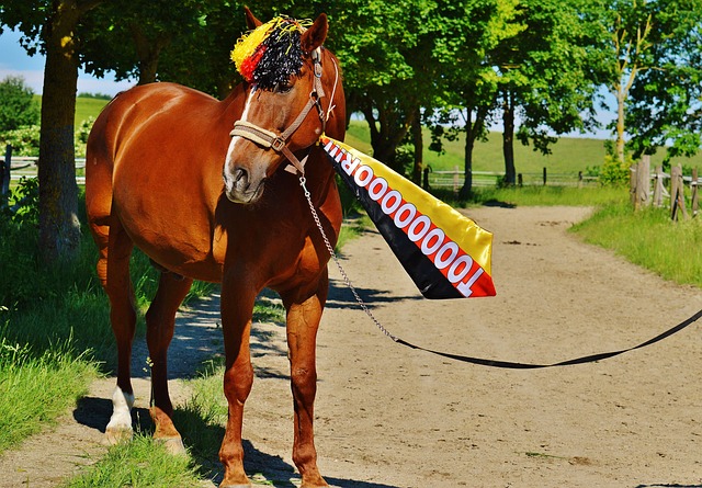 利再次强调 利再次强调