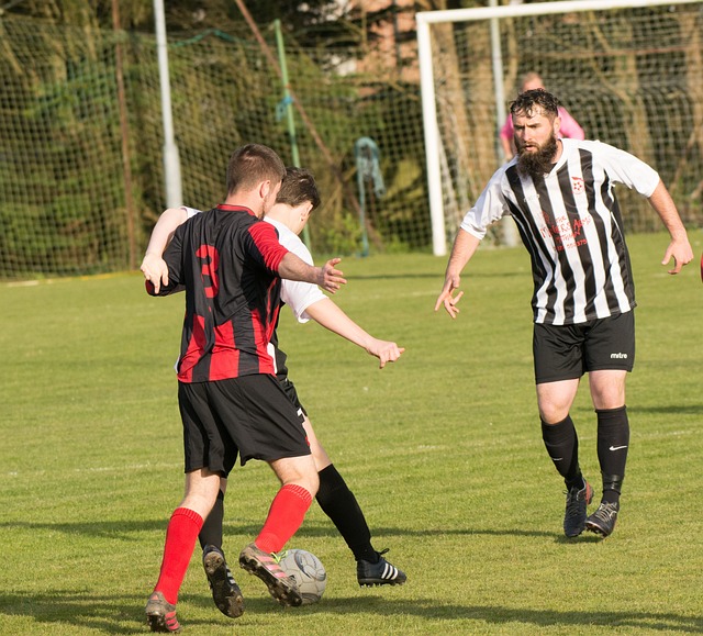 一支不可忽 一支不可忽