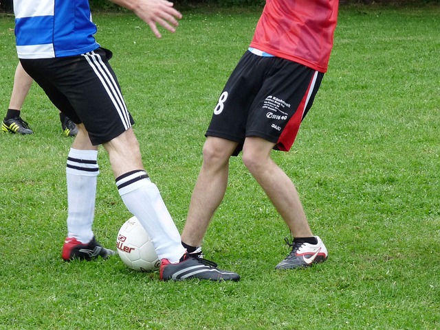 不仅仅是对 不仅仅是对