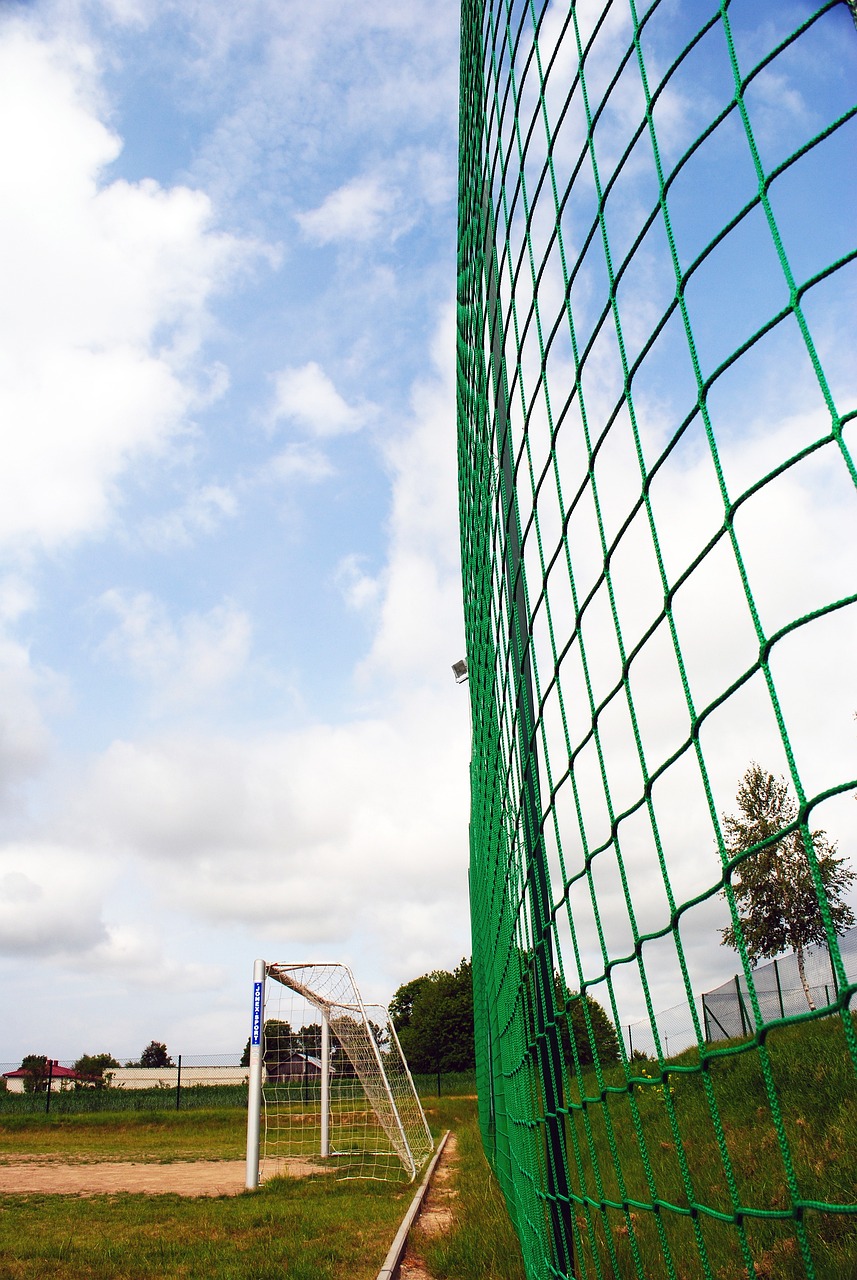 的关税壁垒 的关税壁垒